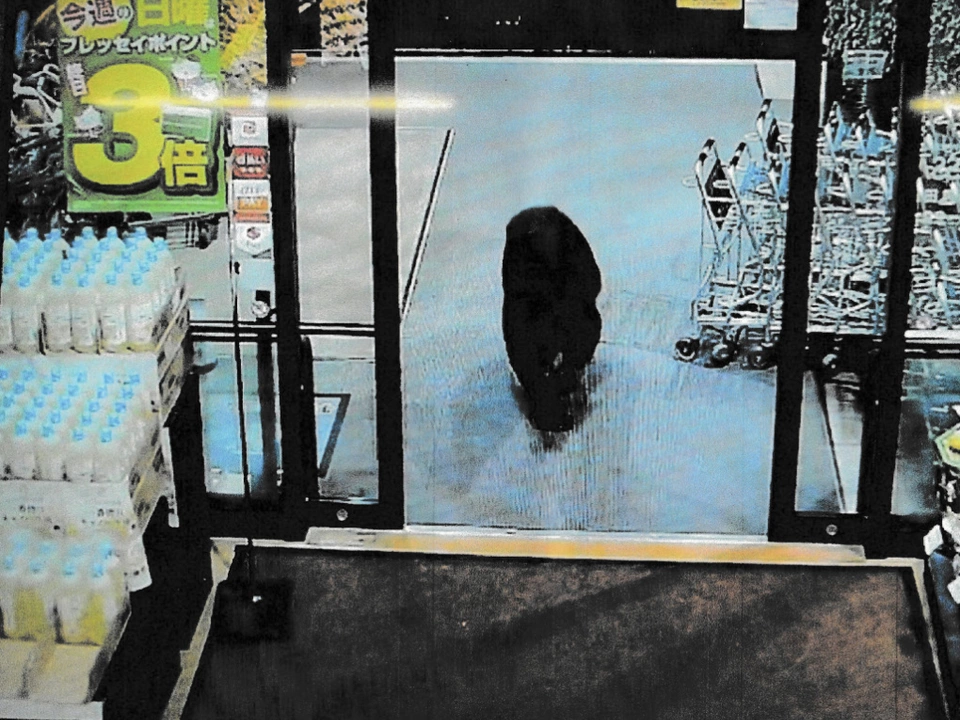 Dieser Bär stattete einem Supermarkt einen Besuch ab