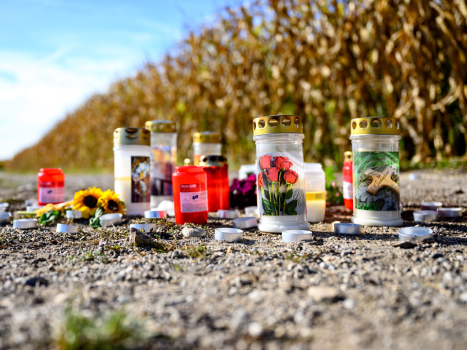 T-dliche-Hundeattacke-Tiere-m-ssen-eingeschl-fert-werden