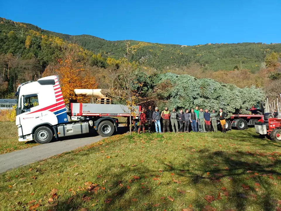 TanneForstgartenAichaVerladung-FotoMarkusPfeifer