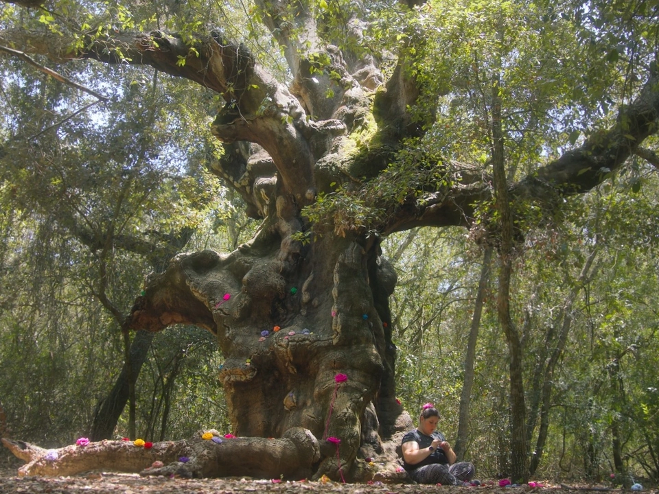 ValentinaEiMUOStri_1