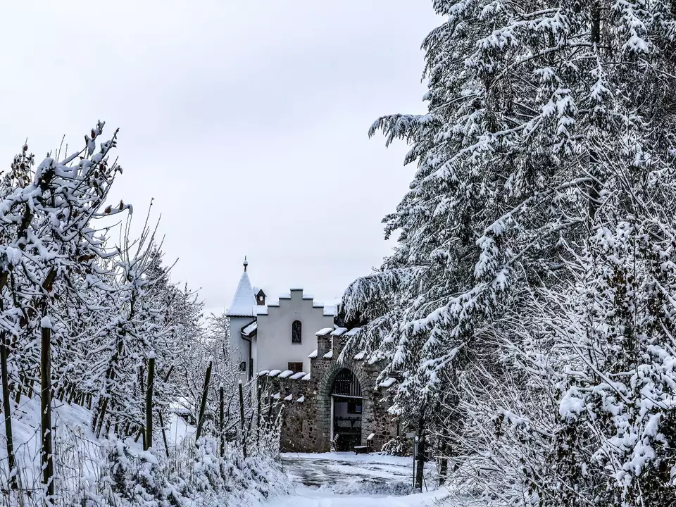 Zwingenburg bei Tisens-Winter SchneeFoto_MartinGeier