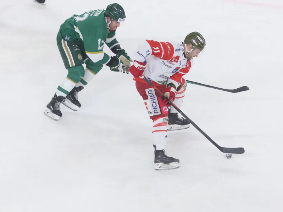 foxes-k-nnen-wieder-l-cheln