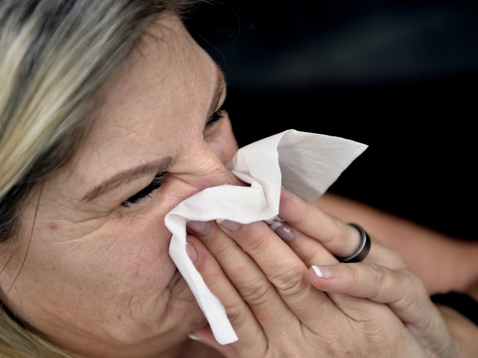 Derzeit dominiert die neue Influenza A(H3N2)K-Variante