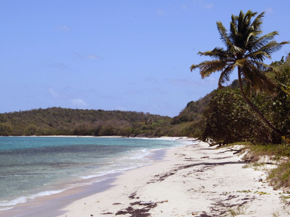 Funde auf kleinen Inseln südlich von Guadeloupe
