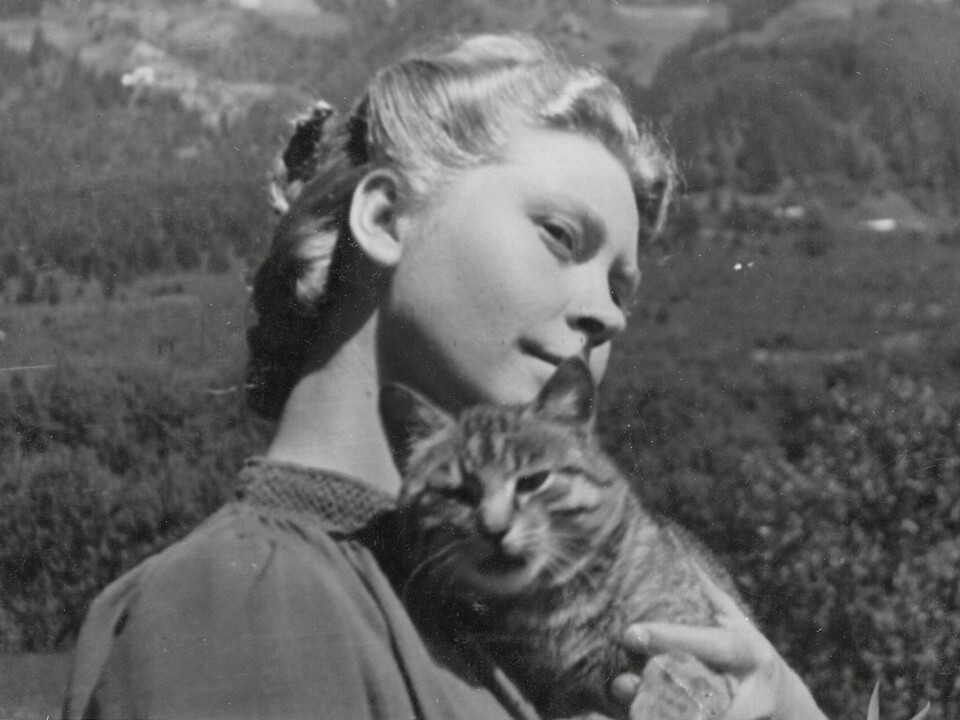 -Unverzagt-und-unverloren-Marys-Traum-und-der-Zauber-des-Zauderns-