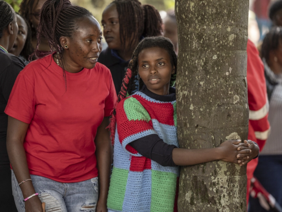 Neuer Rekord im Baumumarmen