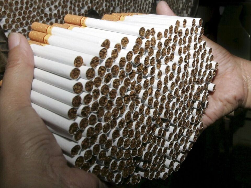 Gro-e-illegale-Tabakfabrik-bei-Rom-aufgeflogen