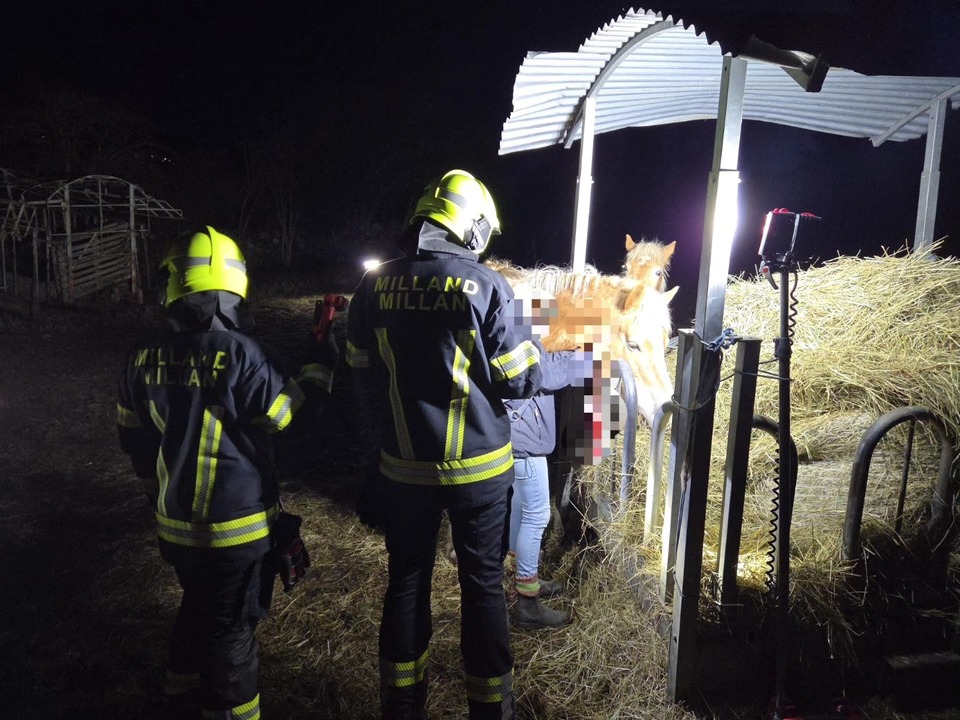 Feuerwehr-befreit-verletzte-Stute