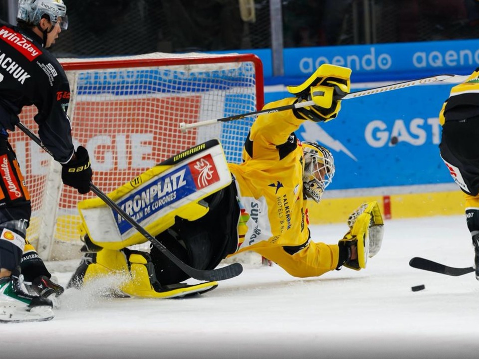 W-lfe-m-ssen-sich-den-Capitals-beugen