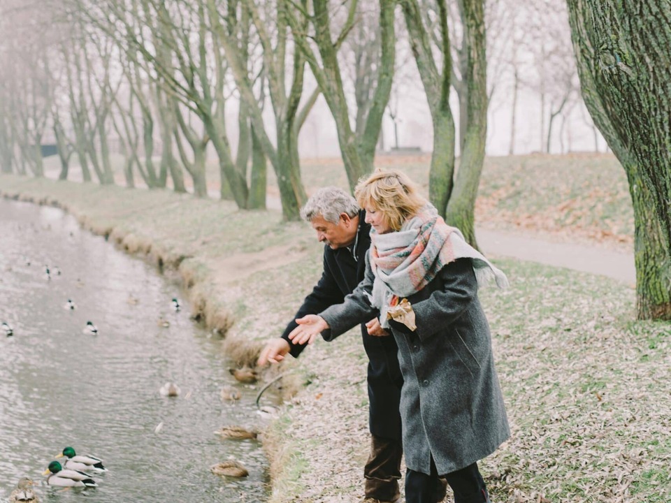 Brot-Die-stille-Gefahr-f-r-Enten-und-Schw-ne