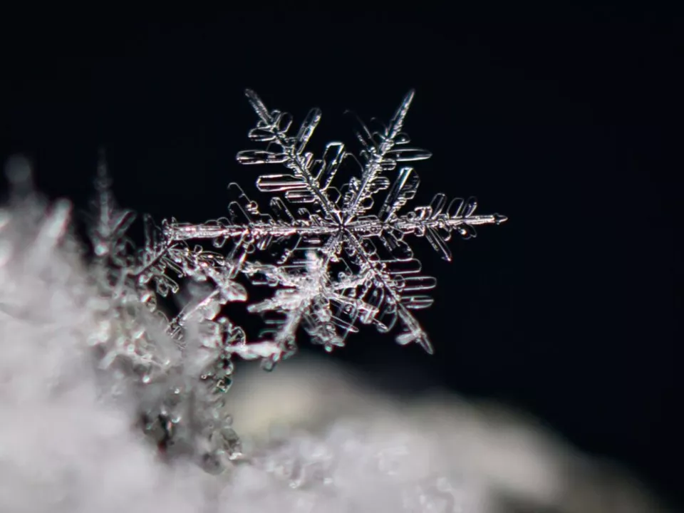 Eiskristall Kälte Winter Schnee sym