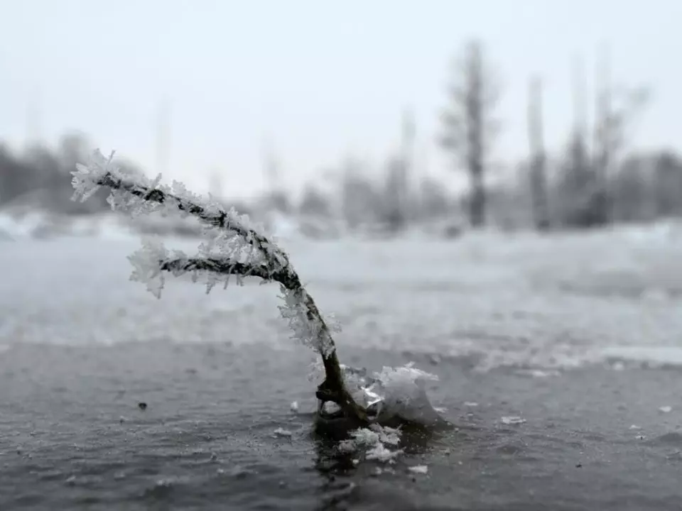In Westösterreich soll in den nächsten Tagen große Kälte herrschen Frost Winter Sym