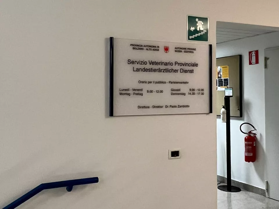 Jeder landwirtschaftliche Betrieb erhält in Kürze eine E-Mail vom Landestierärztlichen Dienst mit allen notwendigen Informationen sowie den Links mit den Anleitungen zur Verwaltung seiner Tiere in VetInfo.