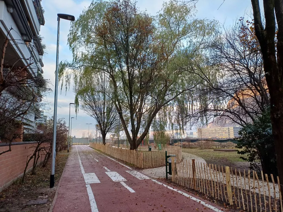 Bozen entsiegelt Flächen und pflanzt neue Bäume