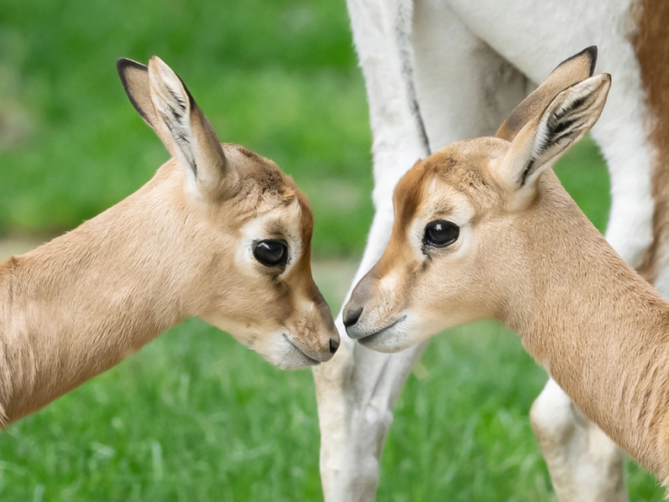 1-52-Milliarden-Touristen-sind-2025-ins-Ausland-verreist