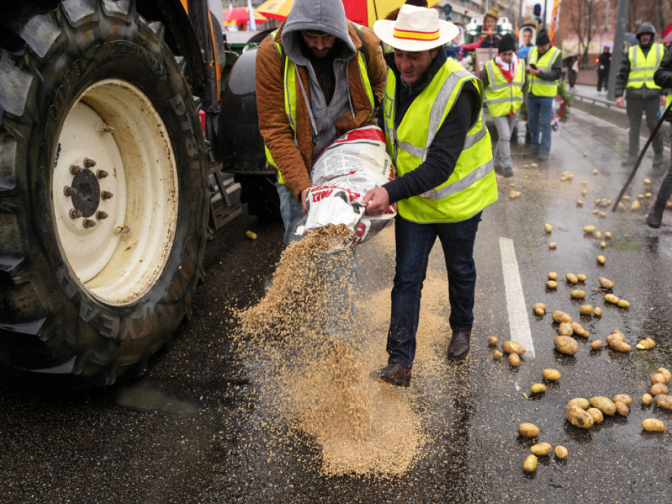 Mercosur-EU-Parlament-f-r-agrarische-Schutzklauseln