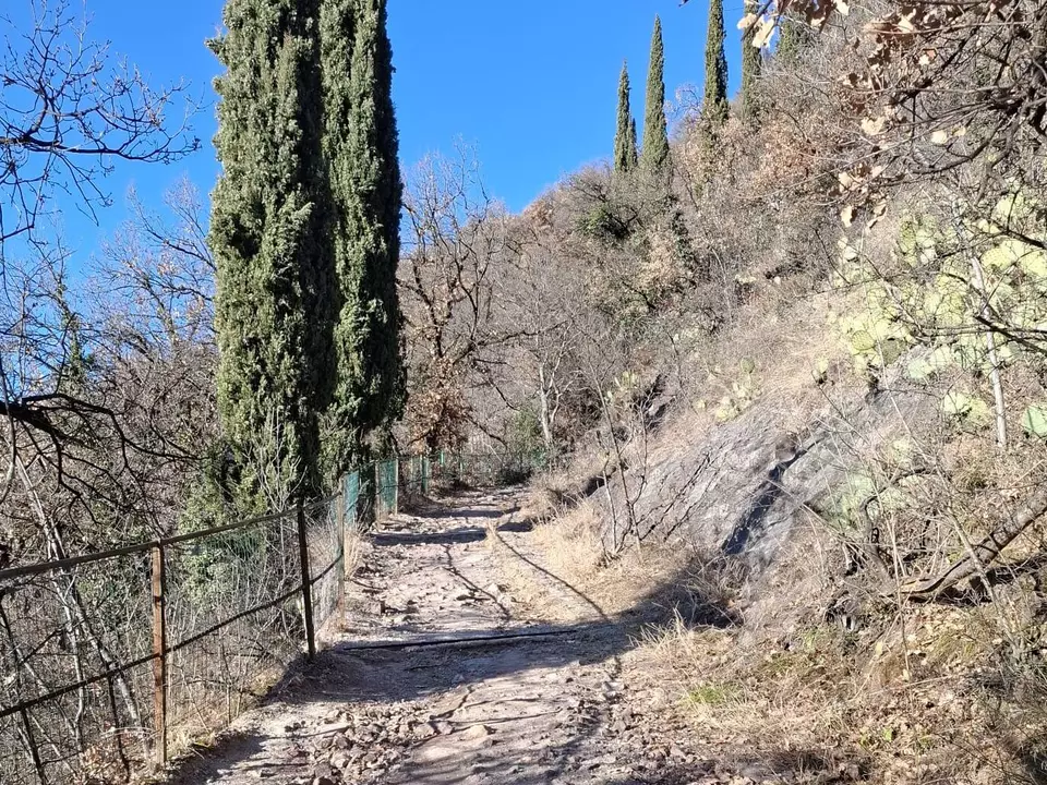 Zugang zur Oswaldpromenade wird saniert