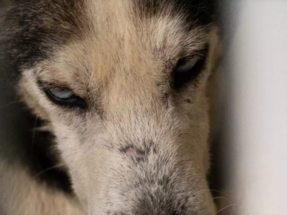 immagine-2026-02-16-124215