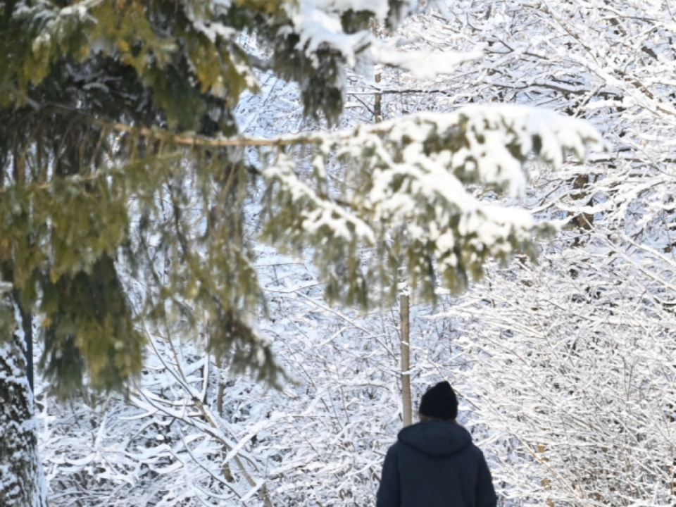 Zehn bis 20 Zentimeter Neuschnee erwartet