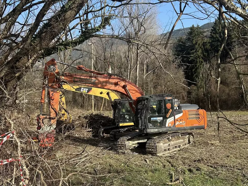 Stellungnahme der UG Eisacktal hyla zur Rodung des Auwaldes Brixen