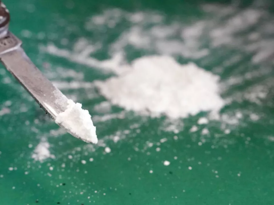 Bande soll mindestens zwölf Tonnen Kokain importiert haben