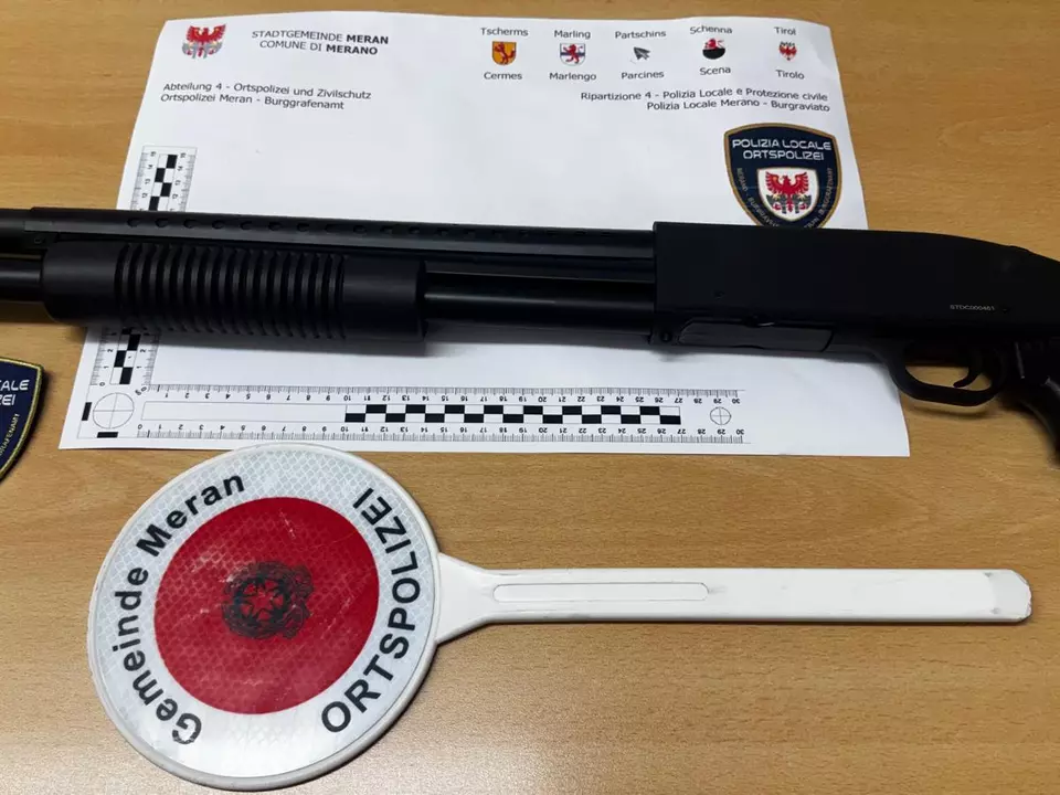 f9a81e04-bdf0-4343-954e-c70f473bc746