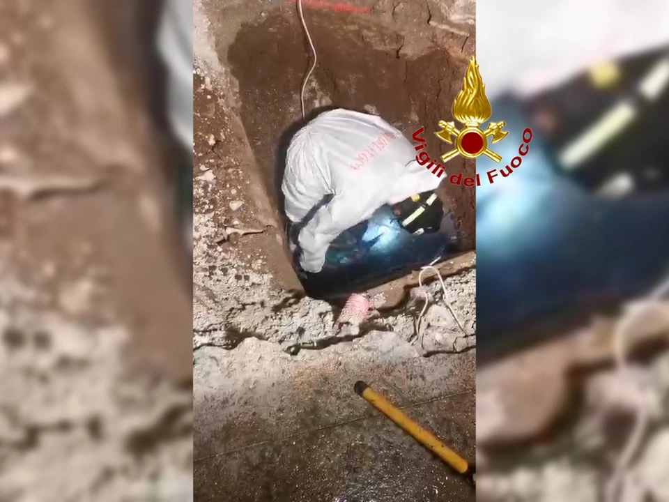 Italien: Feuerwehr rettet „Teddy“ – VIDEO