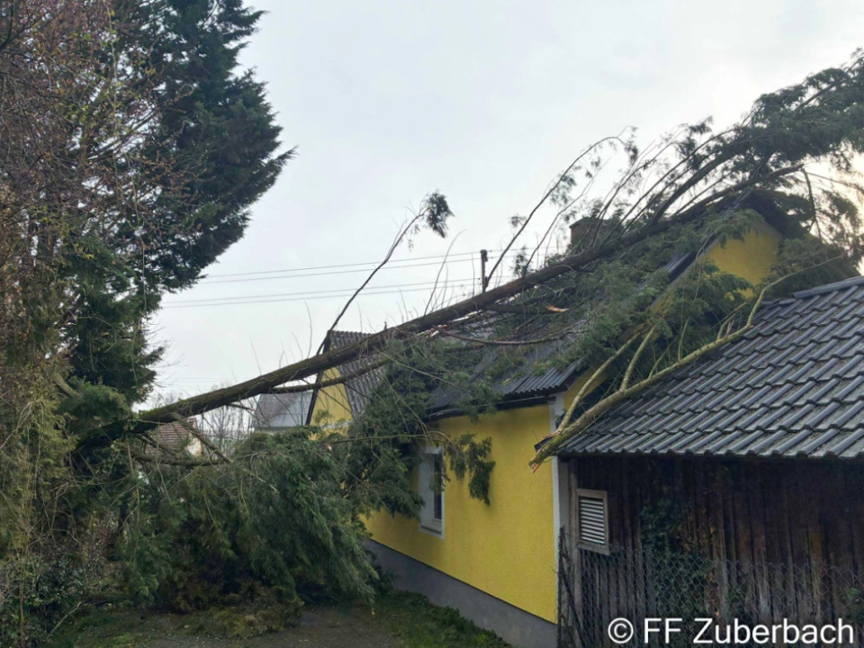 Zahlreiche Bäume stürzten um