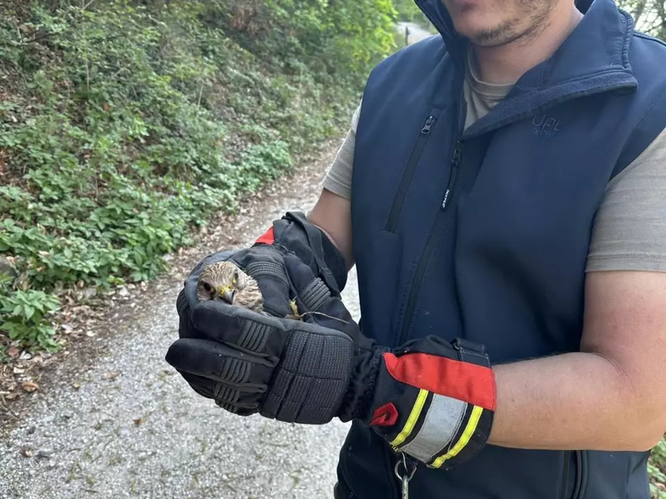 668328422_1253281713587970_5363881300921568985_n