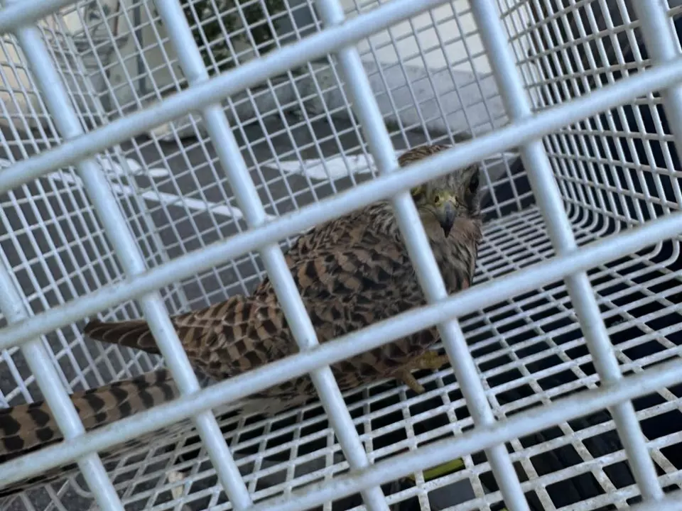 668608435_1253281710254637_348906084496941444_n