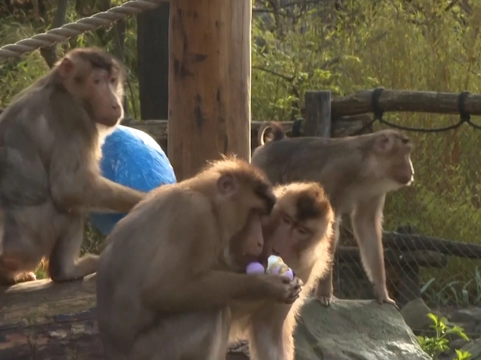 Buntes Osterfest im Zoo