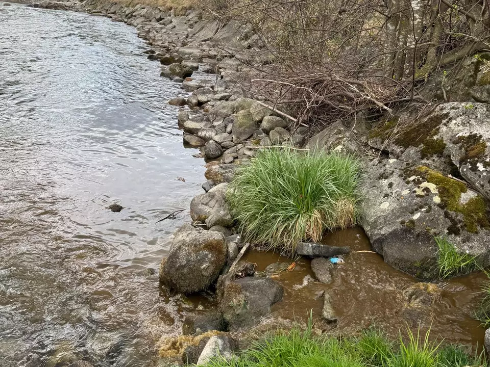 Erneute Gülle-Einleitung in einem Bach