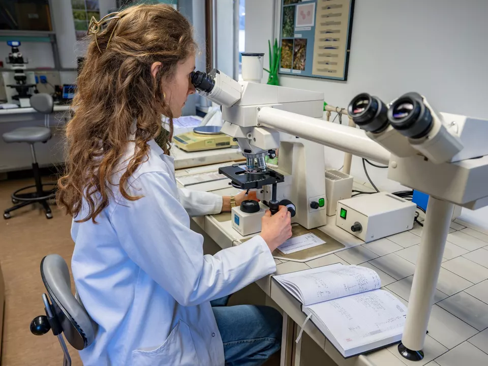 Labor Pollenauswertung_Biologisches Labor Leifers_greta stuefer 27 (1)