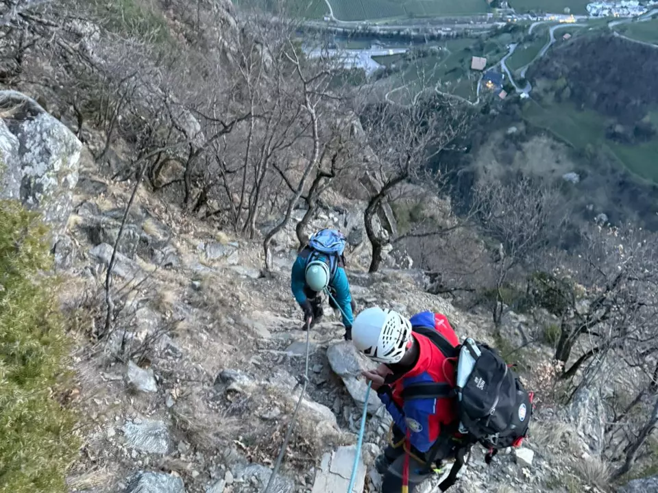 WhatsApp Image 2026-04-04 at 08.53.33 (8)