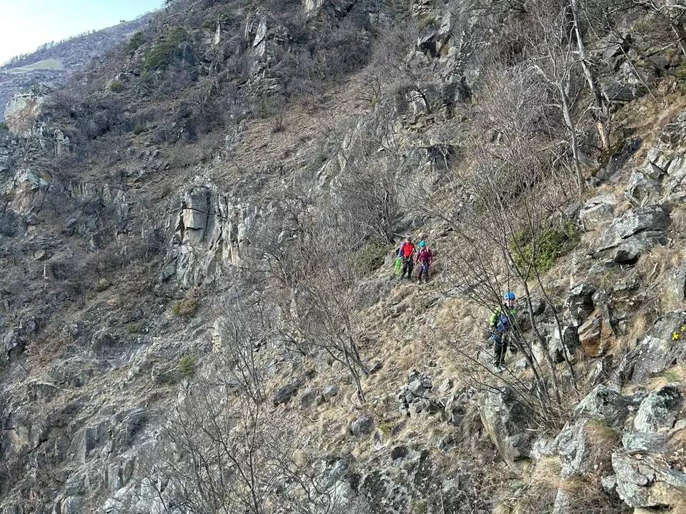 WhatsApp Image 2026-04-04 at 08.53.44