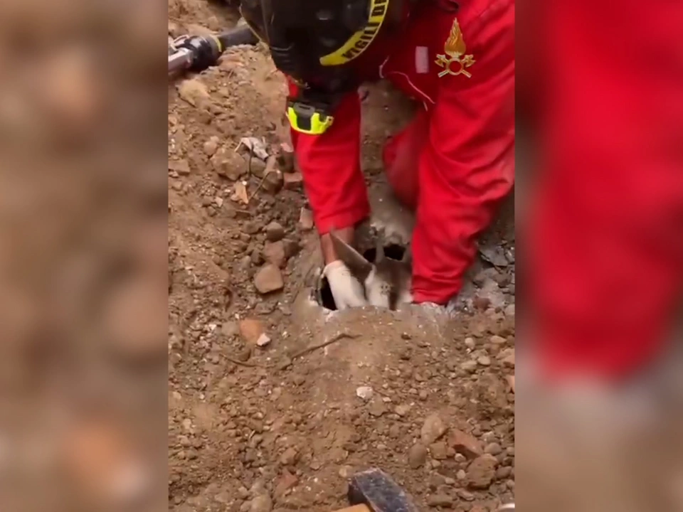 Kleine Ziege in großer Not: Feuerwehr greift ein – VIDEO