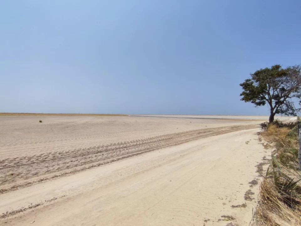 Ein Teil der Ökoregion Cerrado nach der Entrodung
