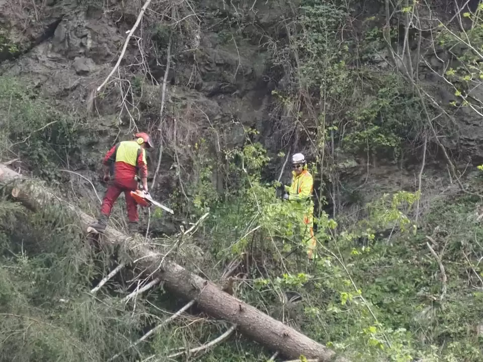 HolzarbeitenGadertalerSchlucht4