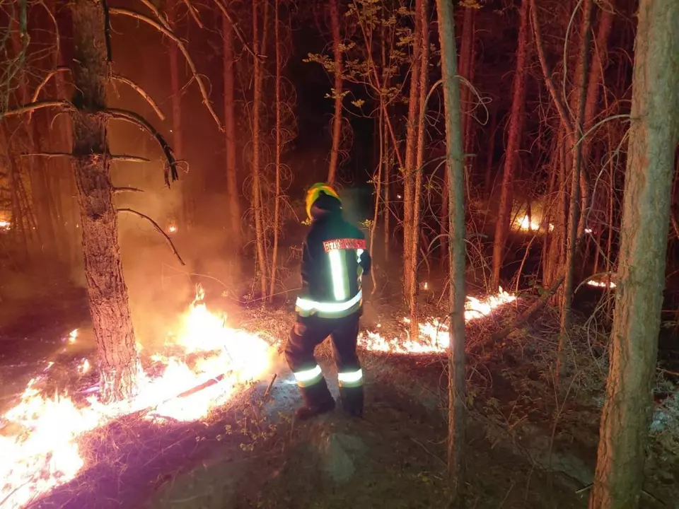 kurz-vor-23-uhr-wurde-am-freitagabend-ein-brand-in-einem-waldstueck-zwischen-prad-und-spondinig-entdeckt-woraufhin-sofort-alarm-geschlagen-wurde
