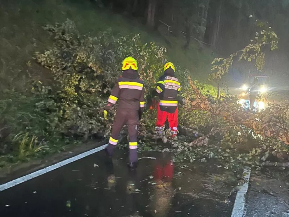 Zahlreiche Bäume stürzten um