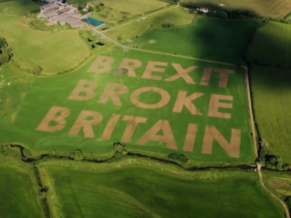 10 Jahre Brexit: Protest in Wiese gemäht – VIDEO