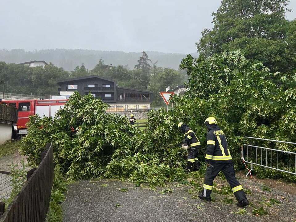 Hitzegewitter-bescheren-Feuerwehren-erneut-Arbeit