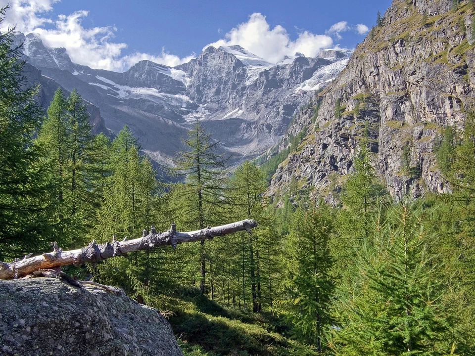 gran paradiso aostatal