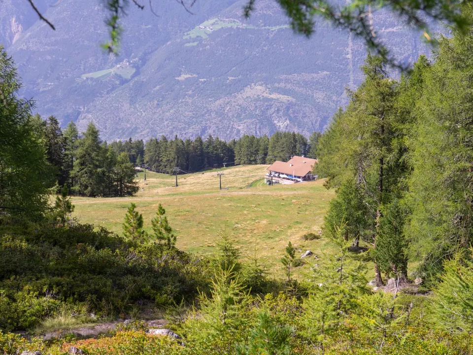 Foto 1