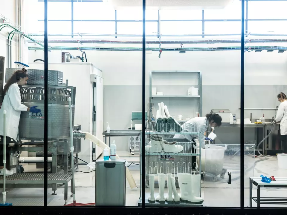 forschung bozen Laboratorio unibz_Ivo Corrà
