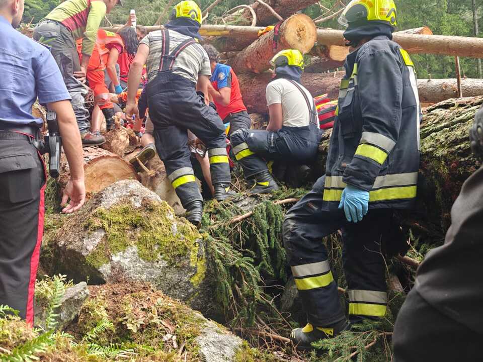Waldarbeiter-zieht-sich-bei-Sturz-schwere-Verletzungen-zu