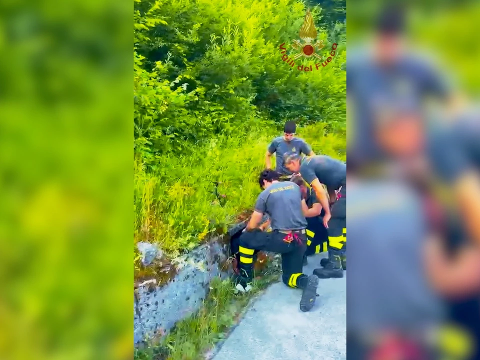 Belluno: Feuerwehr rettet ausgesetzte Welpen aus Abwasserschacht