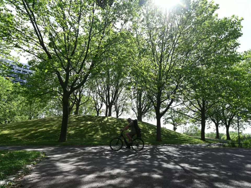 Besonders brutaler Fall von Jugenkriminalität im Kurpark Oberlaa
