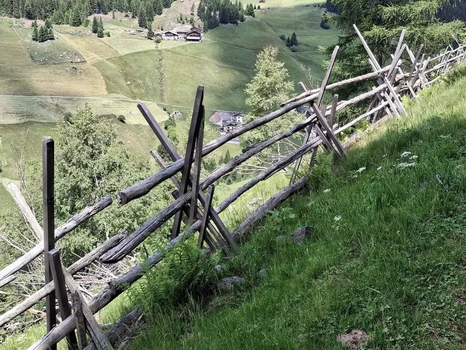 Holzzaun