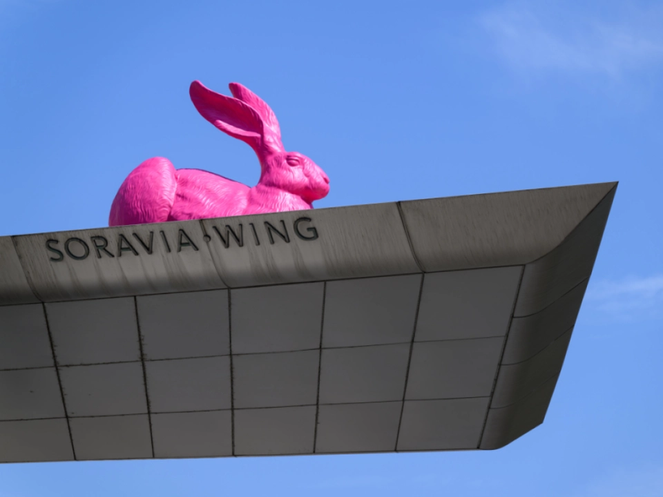 Der Hase in luftiger Höhe
